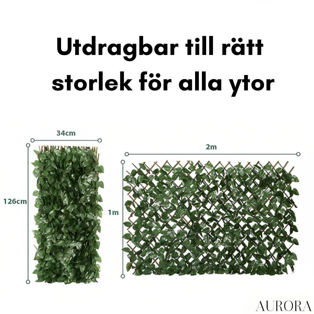 Gardenscapeâą - Aurora Stockholm