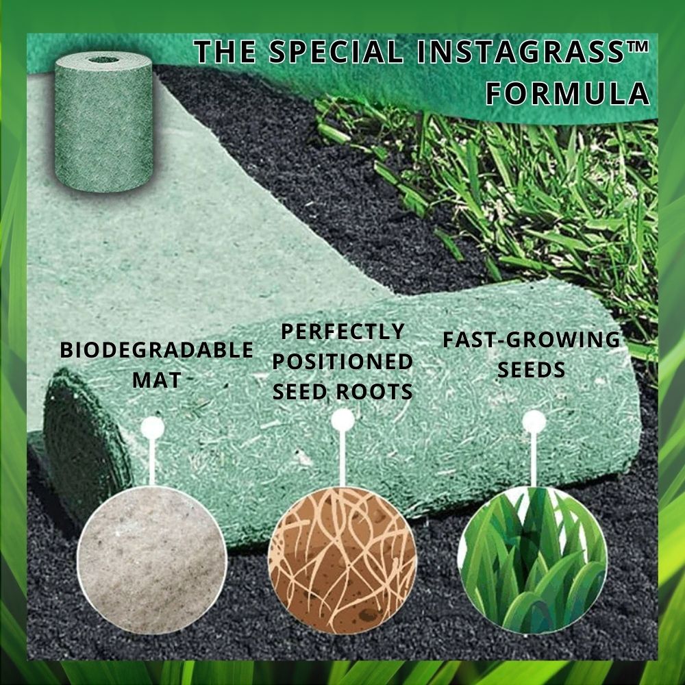 InstaGrass⹠| FÄ en frodig, grön grÀsmatta Äret runt!