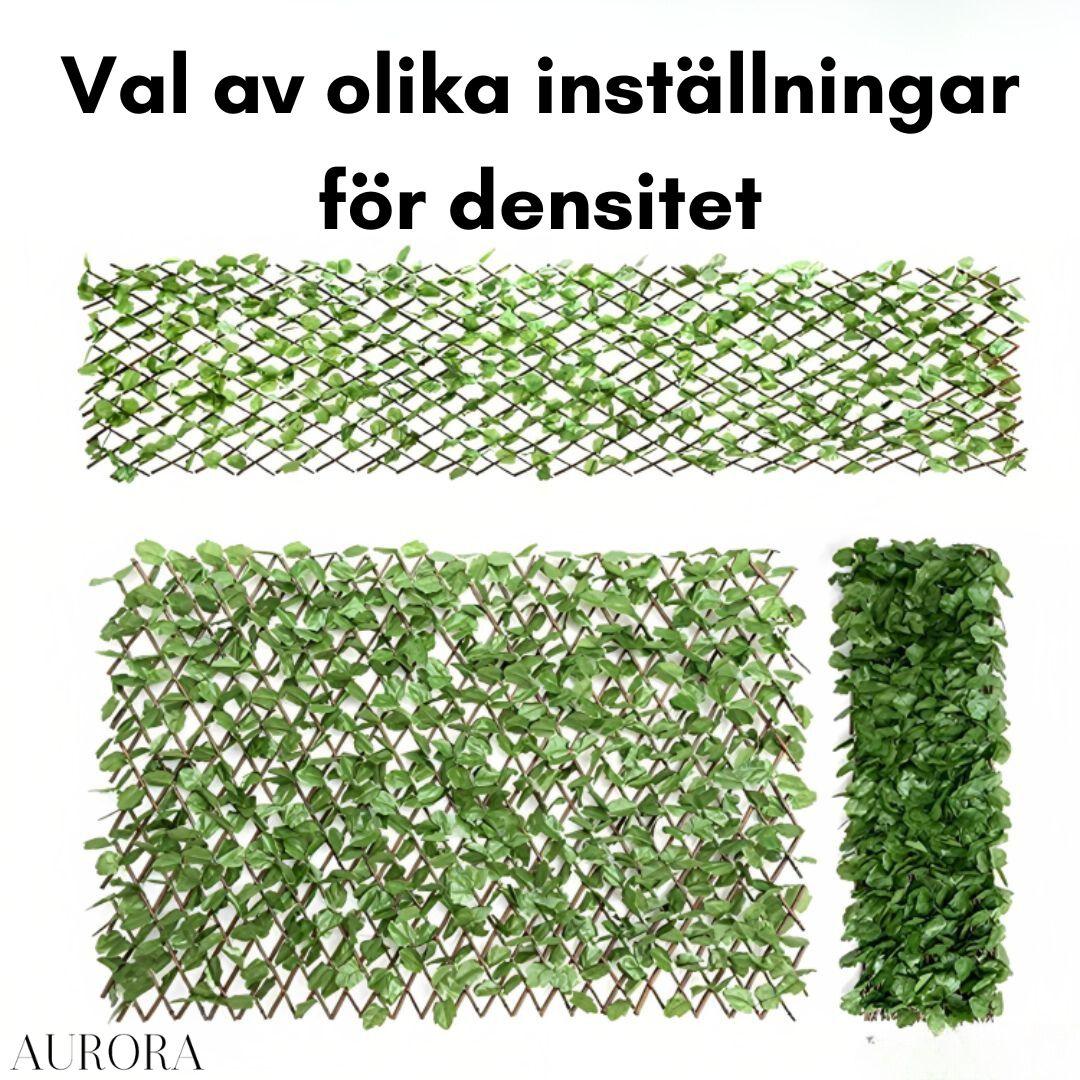Gardenscapeâą - Aurora Stockholm