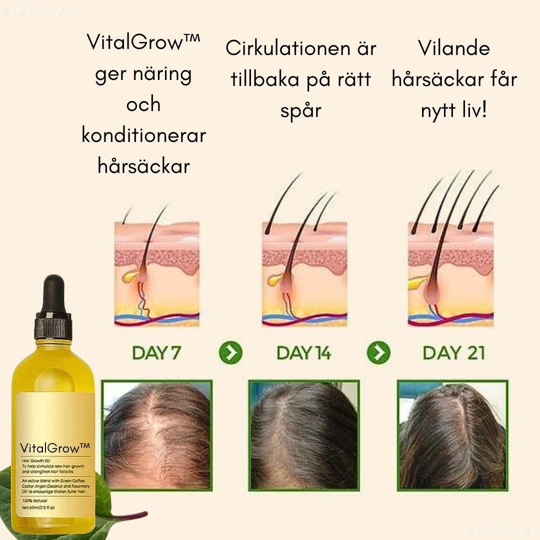 VitalGrow⹠| Din Naturliga Oljebehandling För HÄrvÀxt - Aurora Stockholm