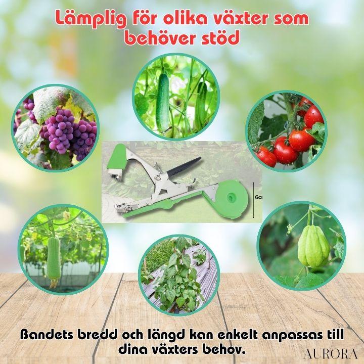PlantTie™ | Bind växter minst 3 gånger snabbare! | 60% RABATT TILLFÄLLIGT - Aurora Stockholm