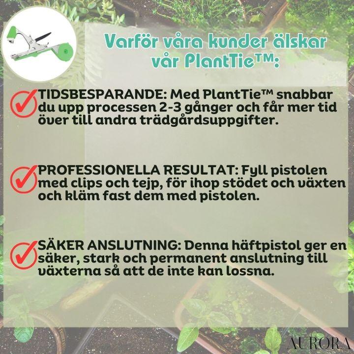 PlantTie™ | Bind växter minst 3 gånger snabbare! | 60% RABATT TILLFÄLLIGT - Aurora Stockholm