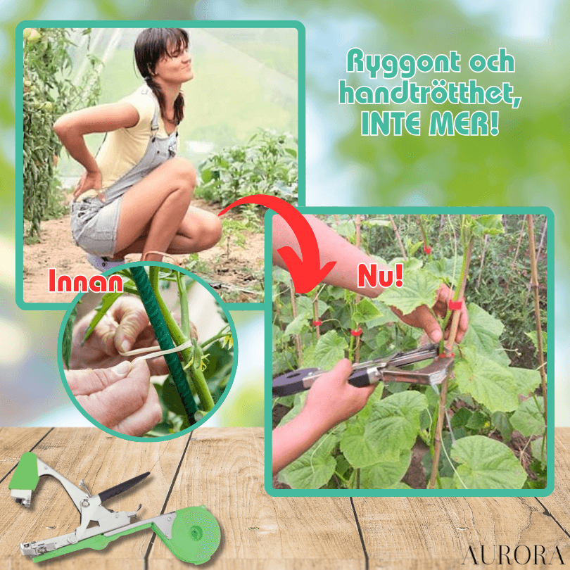 TILLFĂLLIGT 50% RABATT | PlantTieâą | Bind fast dina vĂ€xter pĂ„ ett sĂ€kert sĂ€tt pĂ„ nĂ„gra sekunder!