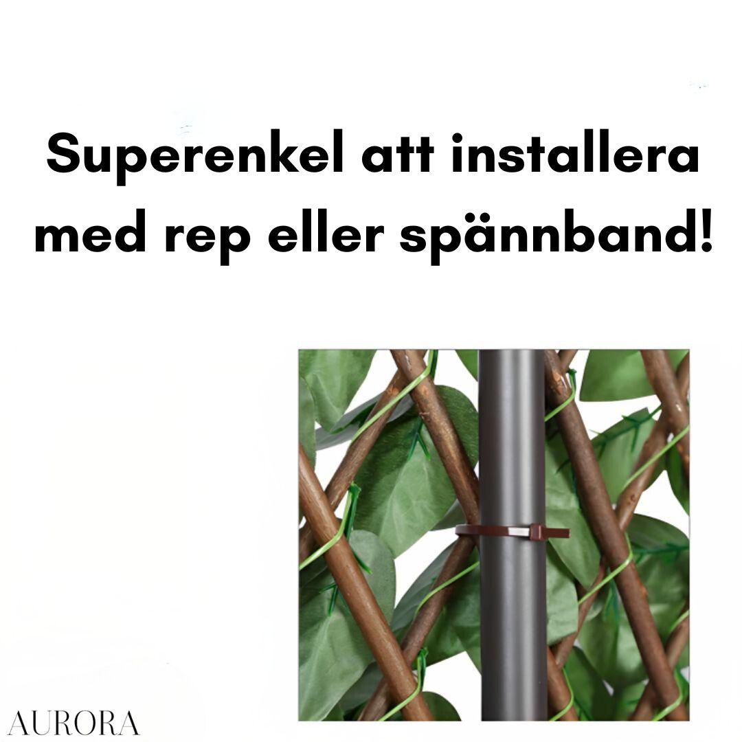 Gardenscapeâą - Aurora Stockholm