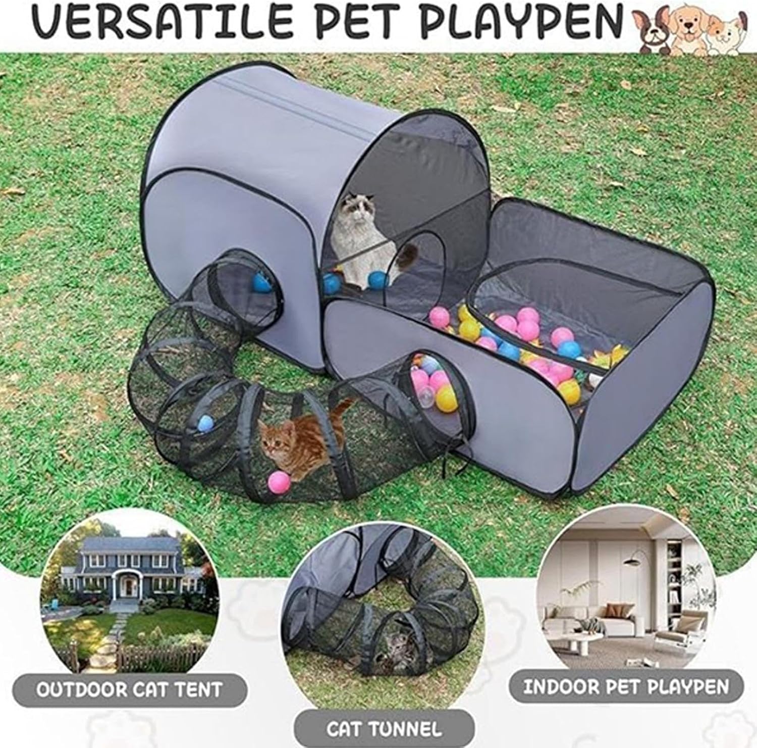 TILLFĂLLIGT 50% OFF | KittyCampâą