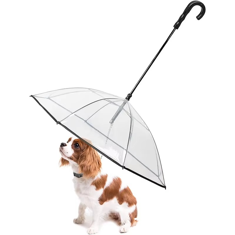TILLFĂLLIGT 50% OFF | PawBrellaâą