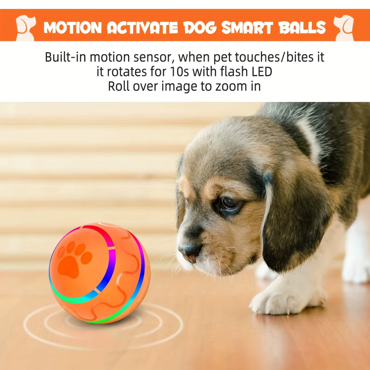 FlashFetch⹠| Interaktiv hundboll utan att behöva kasta den!