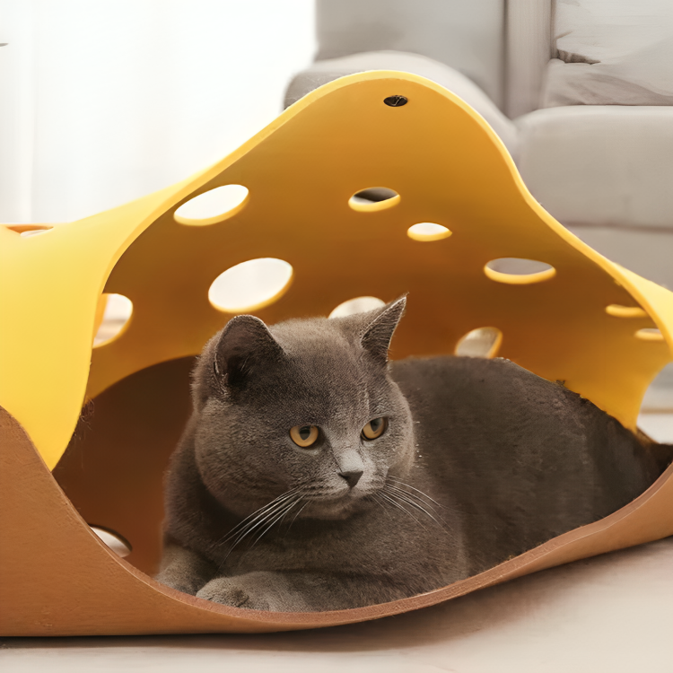 CatCove⹠| Ett roligt sÀtt att hÄlla katterna aktiva och i form!