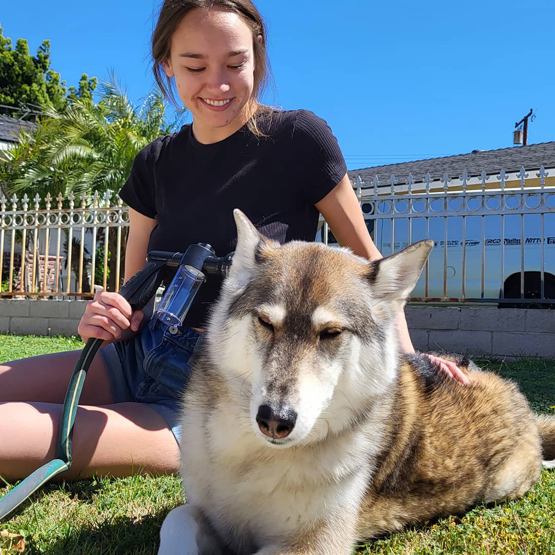 JetPaws⹠| Högtryckspistol för hunddusch