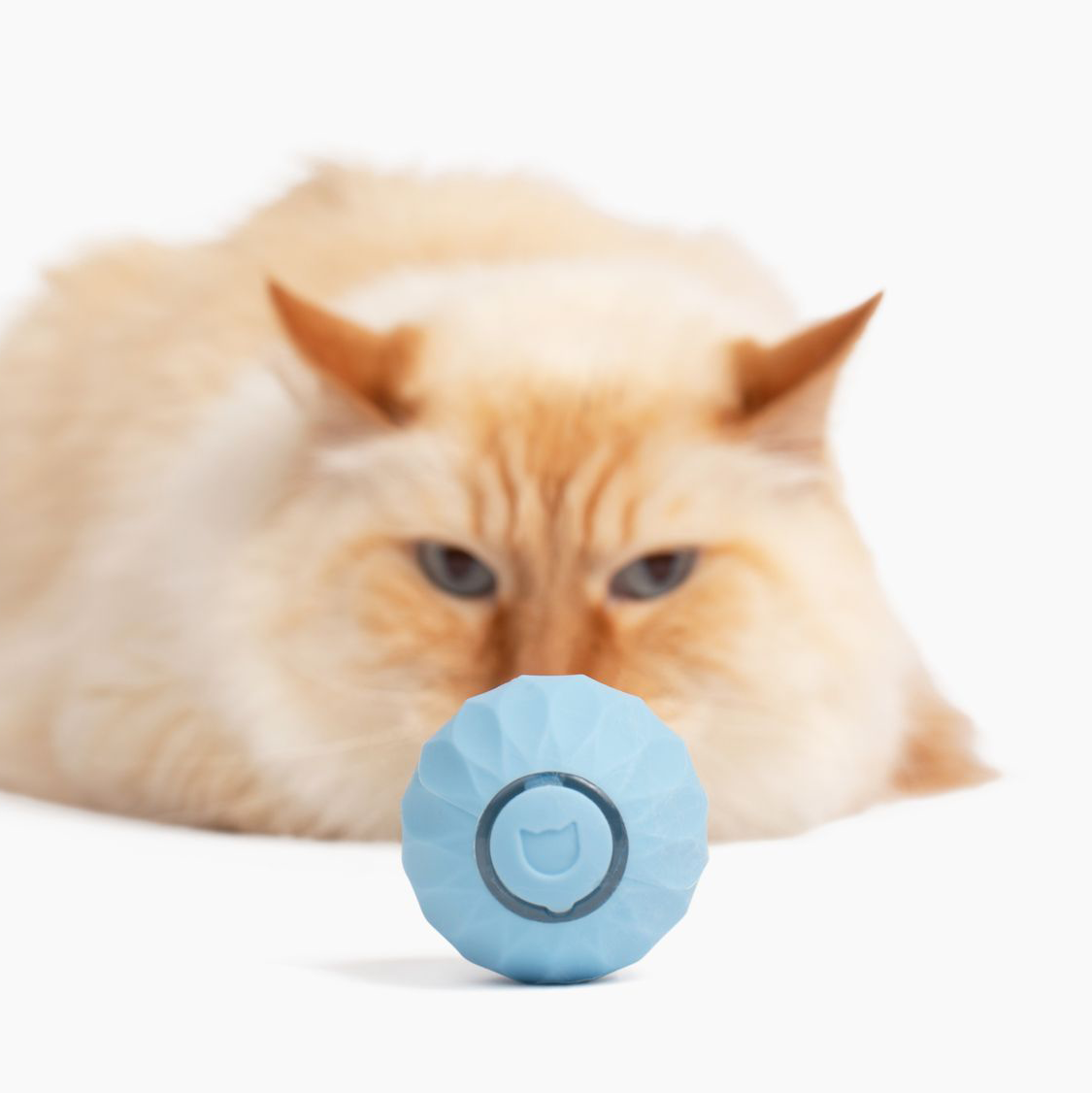 WhiskerWheel⹠| Interaktiv powerbollleksak för katter