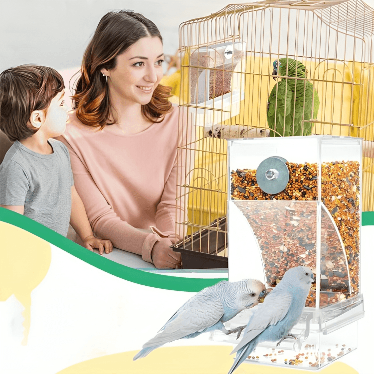1 + 1 GRATIS | TidyTreats⹠| Automatisk FÄgelmatare - Aurora Stockholm
