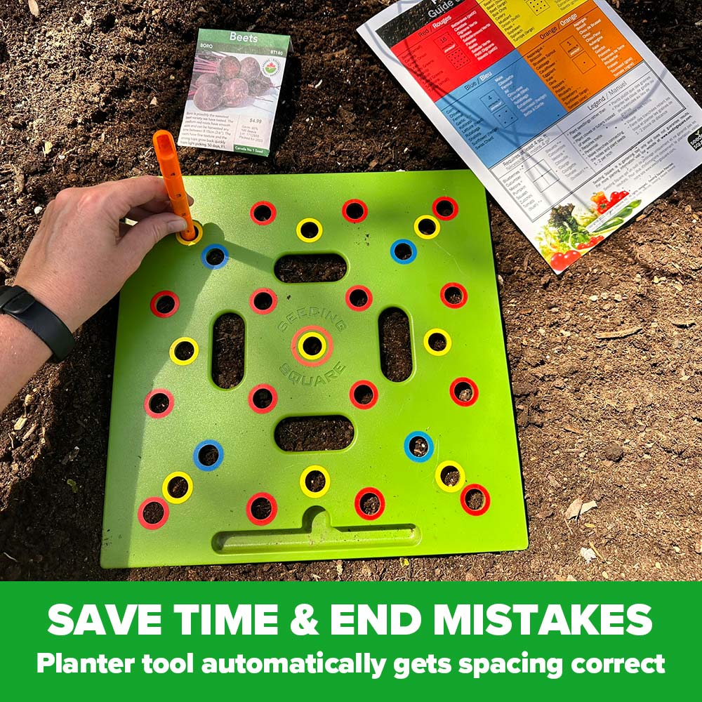 TILLFĂLLIGT 50% OFF | PlantGridâą