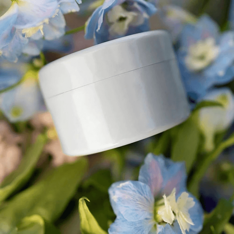 BloomBuddy⹠| Blommor StamhÄllare - Aurora Stockholm