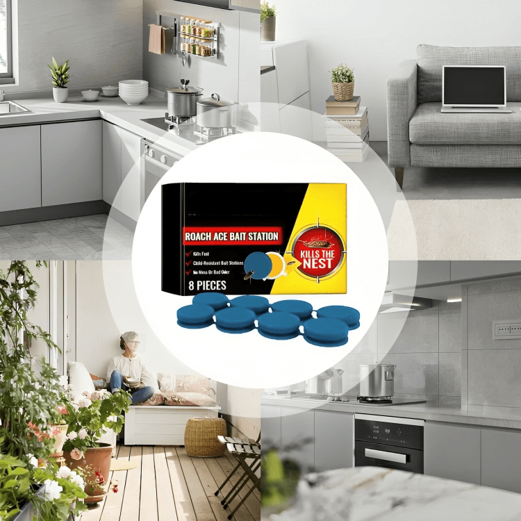 1 + 2 GRATIS IDAG | CritterCatch⹠| Super anti-kackerlacksfÀlla - Aurora Stockholm