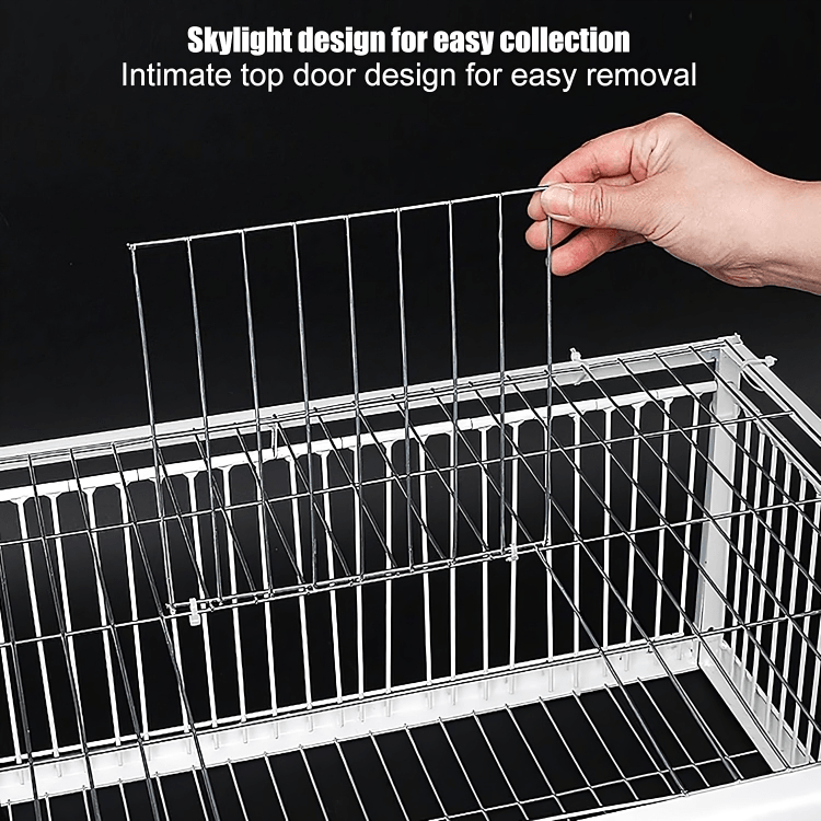 TILLFĂLLIGT 50% RABATT | SafeTrapâą | FĂ„gelbur - Aurora Stockholm