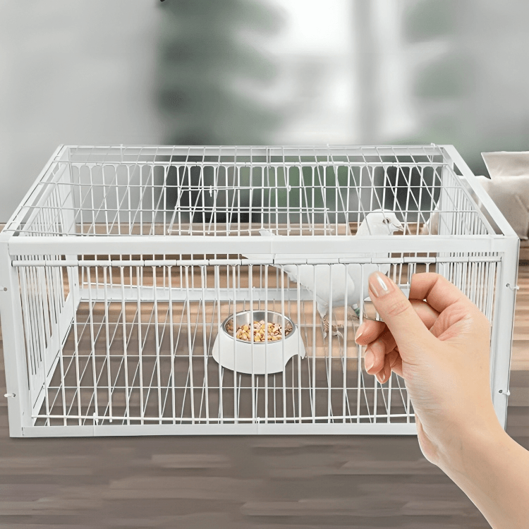TILLFĂLLIGT 50% RABATT | SafeTrapâą | FĂ„gelbur - Aurora Stockholm