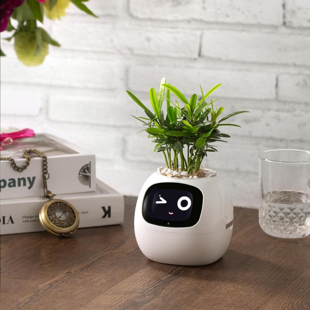 BloomBot⹠| Smart vÀxtkruka