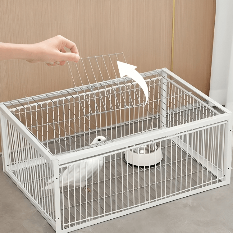 TILLFĂLLIGT 50% RABATT | SafeTrapâą | FĂ„gelbur - Aurora Stockholm