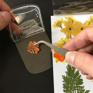 1 + 1 GRATIS | BloomMarks⹠| BokmÀrke Med Naturliga Blommor - Aurora Stockholm