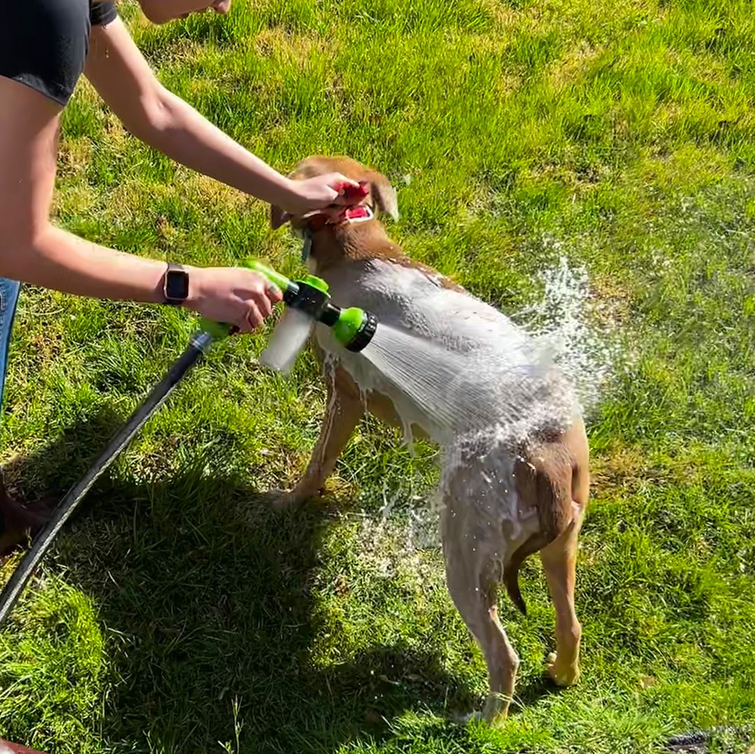 JetPaws⹠| Högtryckspistol för hunddusch