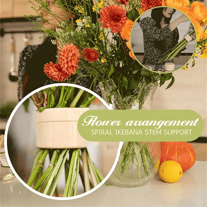 BloomBuddy⹠| Blommor StamhÄllare - Aurora Stockholm