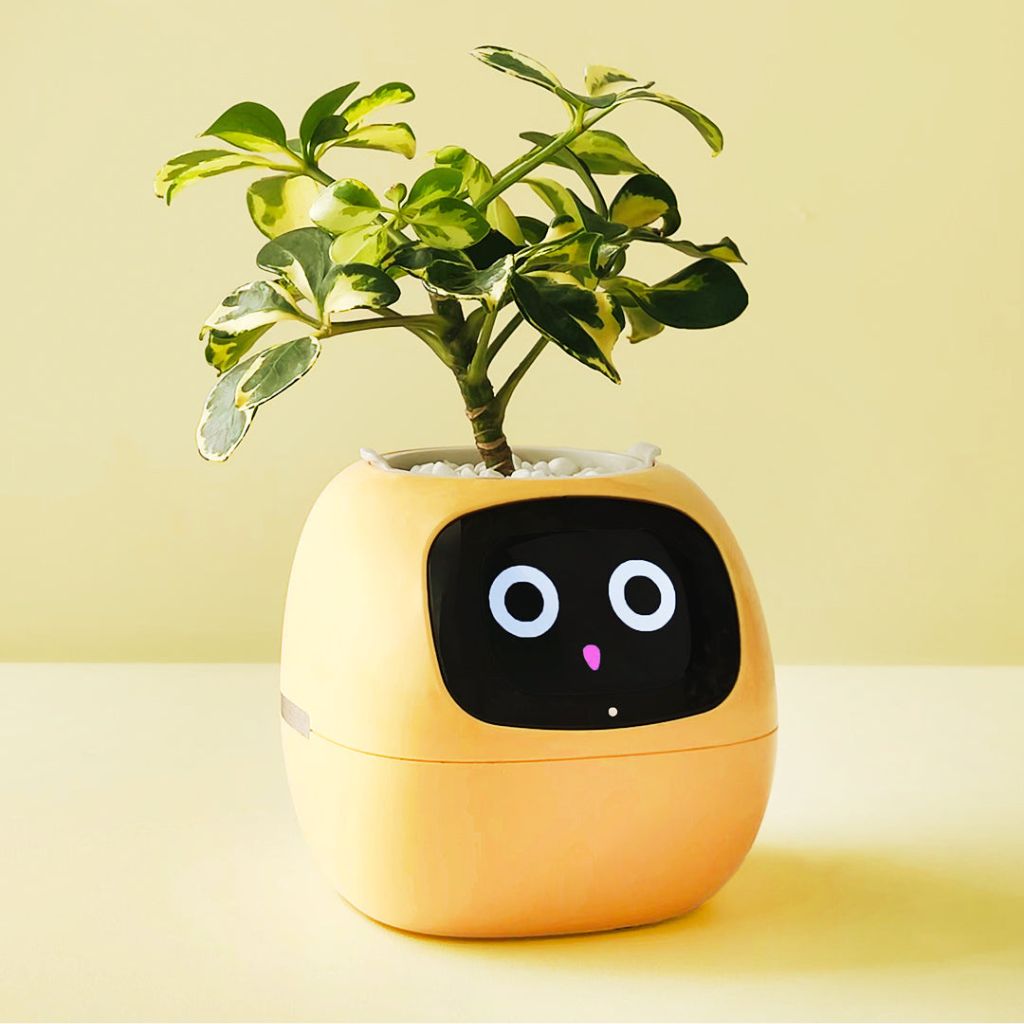 BloomBot⹠| Smart vÀxtkruka