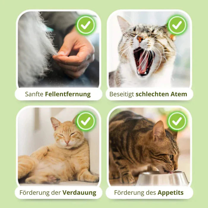 1+1 GRATIS IDAG | WhiskerWonder⹠| HÀlsosamma tuggleksaker för en glad, hÄrbollsfri katt!