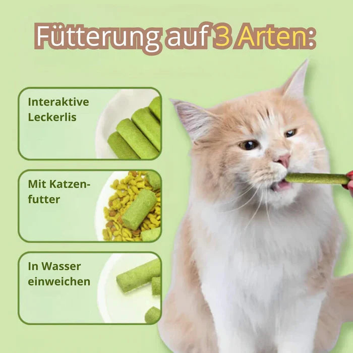 1+1 GRATIS IDAG | WhiskerWonder⹠| HÀlsosamma tuggleksaker för en glad, hÄrbollsfri katt!