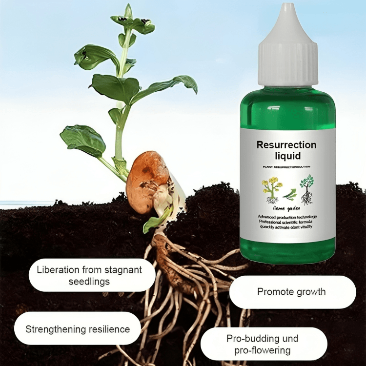 BotanicBoost⹠| Biotininfunderat VÀxtÄteruppstÄndelselixir - Aurora Stockholm