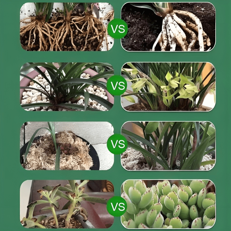 BotanicBoost⹠| Biotininfunderat VÀxtÄteruppstÄndelselixir - Aurora Stockholm