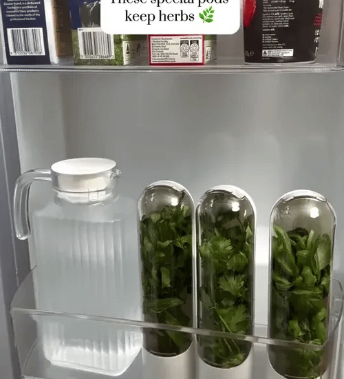 1 + 2 GRATIS IDAG  HerbPod™