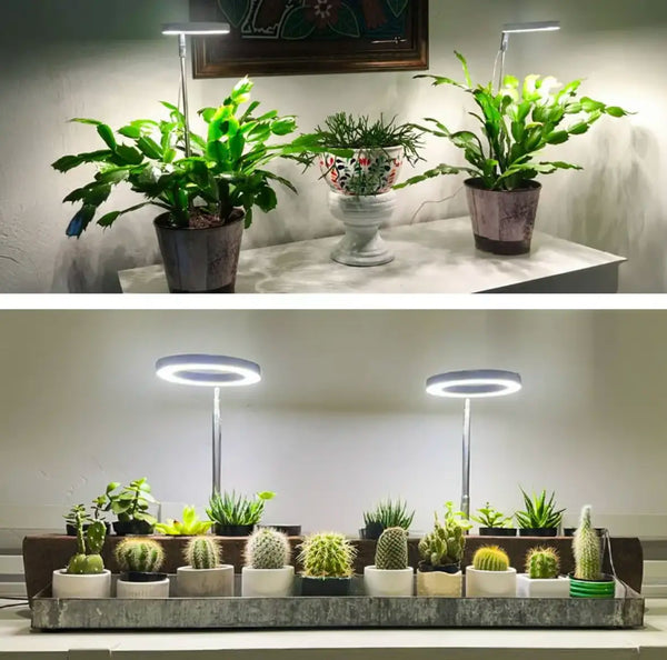 TILLFÄLLIGT 50% OFF  LumiSprout™