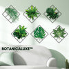 BotanicaLuxe™ | Ge omedelbart ditt rum naturens lugn!