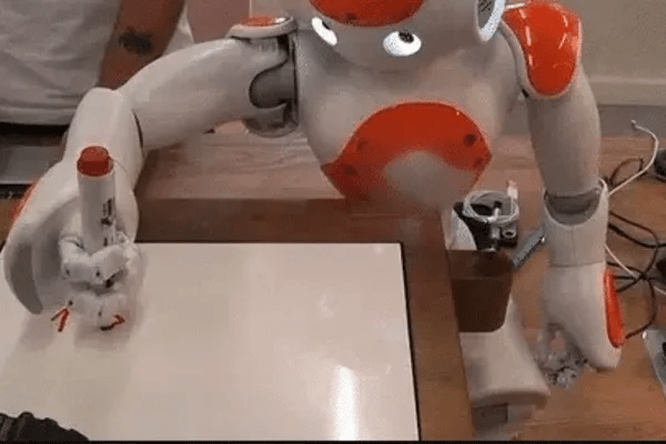 TILLFÄLLIGT 50% OFF  RoboBuddy™