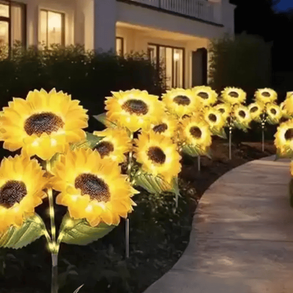 1 + 1 GRATIS IDAG  SolarBloom™