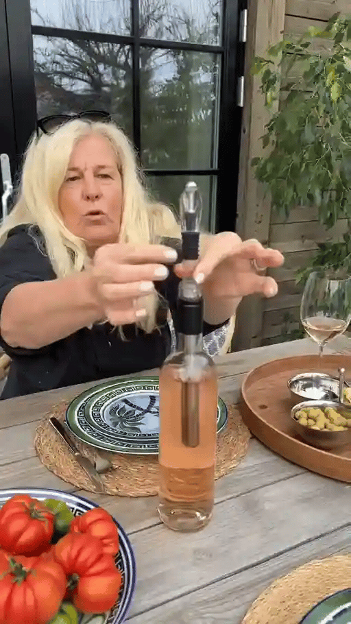 TILLFÄLLIGT 50% OFF  ChillRod™ - Vino Chill