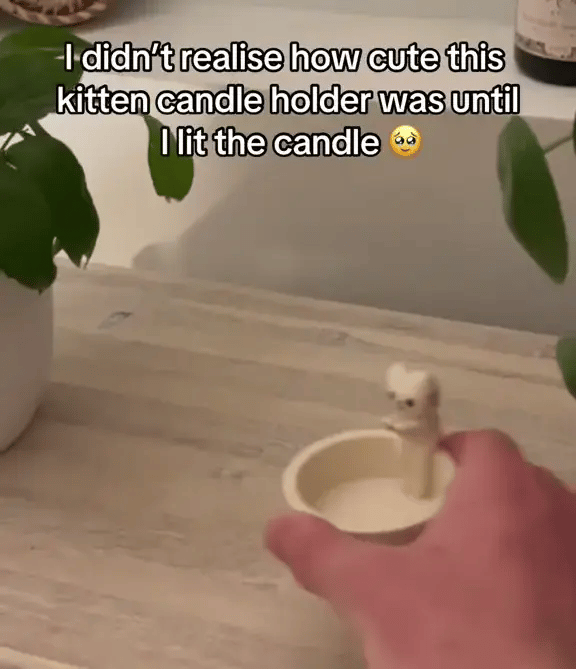1 + 1 GRATIS IDAG  FelineFlame™ 