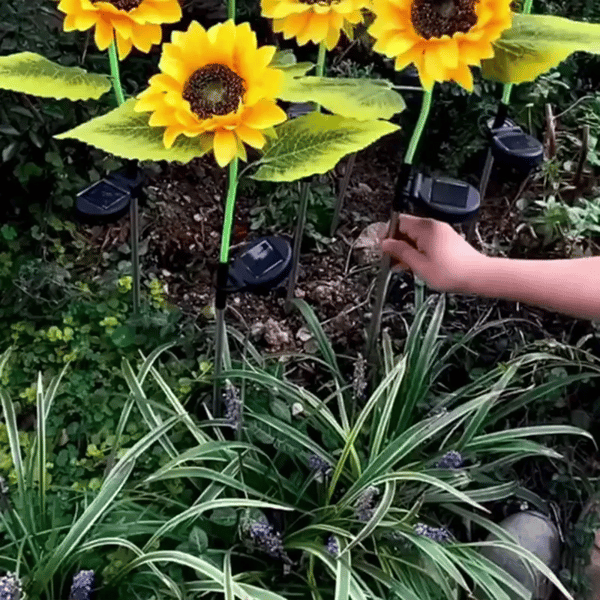 1 + 1 GRATIS IDAG  SolarBloom™