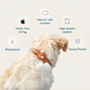 TrackTails™ | Hundhalsband av läder med AirTag-ficka