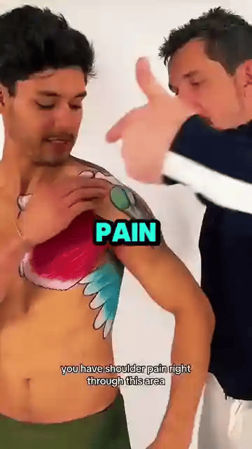 TILLFÄLLIGT 50% OFF  RecoverEase™