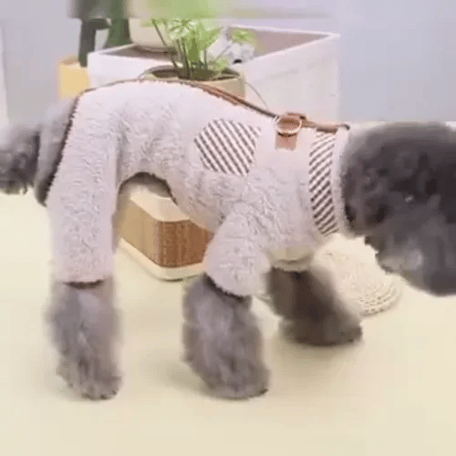 TILLFÄLLIGT 50% OFF  SnugPaw™