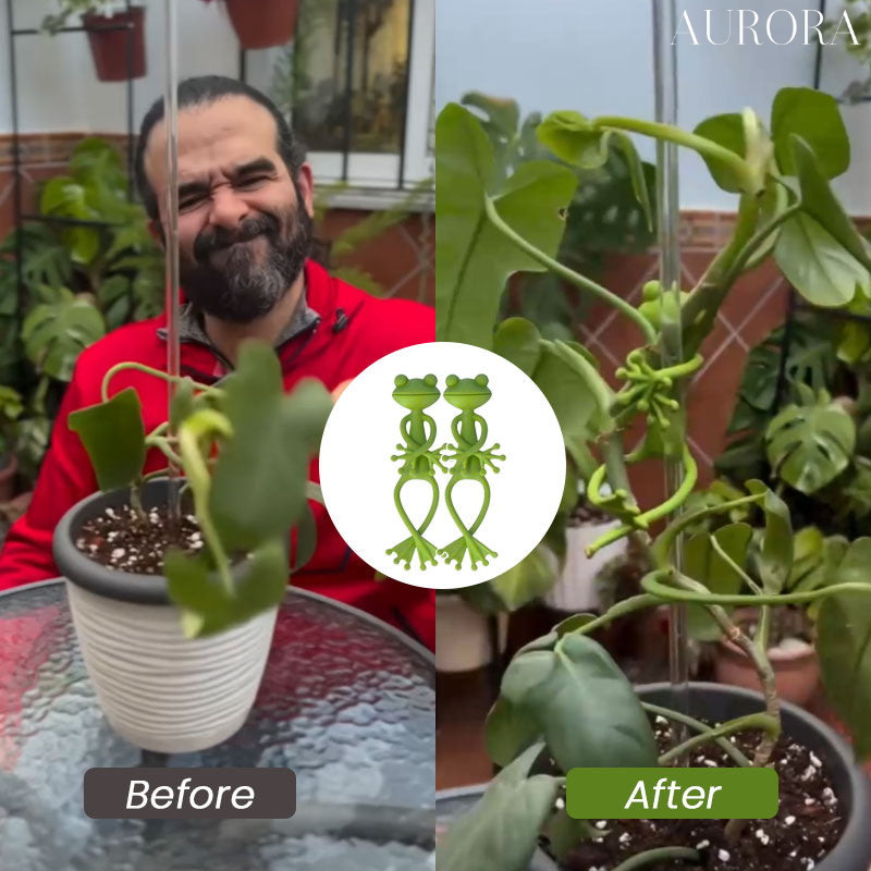 1 + 1 GRATIS IDAG | SproutFrog™ | Lekfullt stöd för sund växttillväxt!