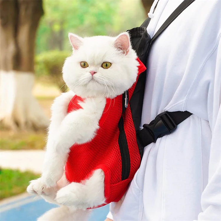 CarryPaws™ | Njut av en stressfri och handsfree resa med ditt husdjur!