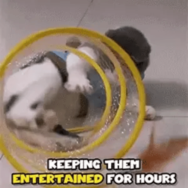TILLFÄLLIGT 50% OFF  PurrSpiral™