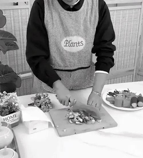 TILLFÄLLIGT 50% RABATT  ChopMaster™