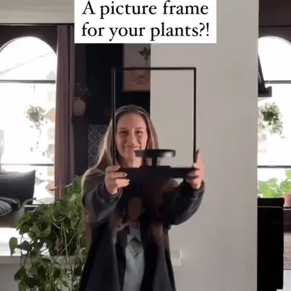 TILLFÄLLIGT 50% OFF  FloraView™