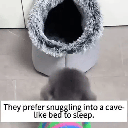TILLFÄLLIGT 50% OFF  SnugPod™