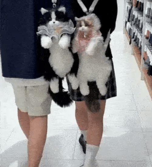 TILLFÄLLIGT 50% OFF  Pawlette™