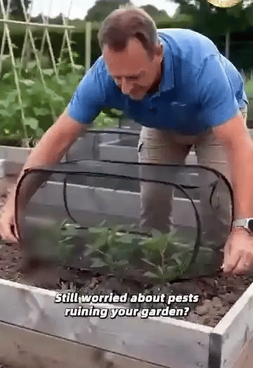 TILLFÄLLIGT 50% OFF  PlantGuard™