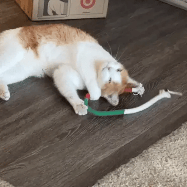 3 + 3 GRATIS IDAG  KittyKnot™ 